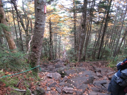 登山道